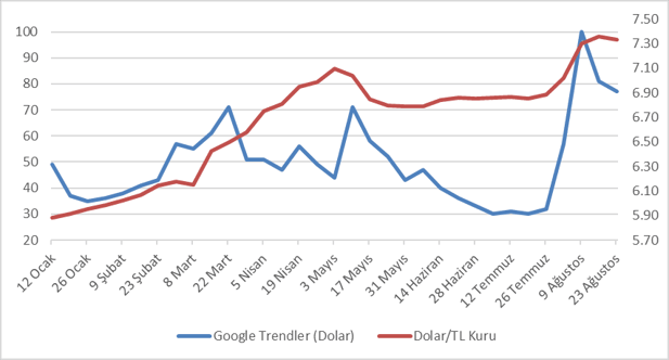 turk halkinin 2020 sene sonu dolar kuru beklentisi 7 95