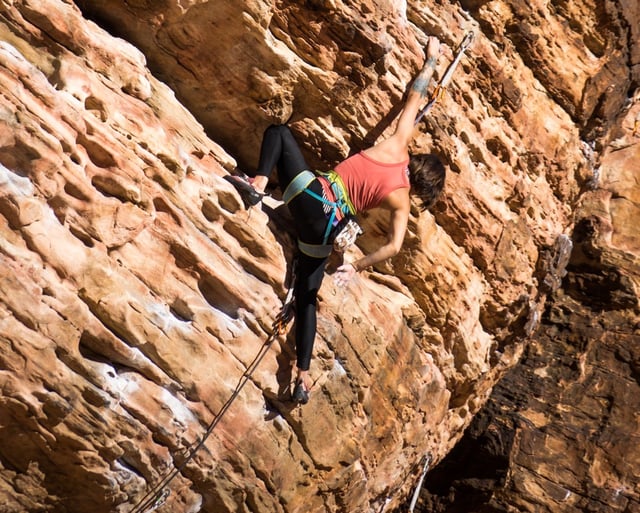 climbing.jpg