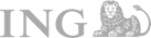 logo-ing_group