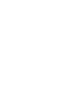 chips_icon