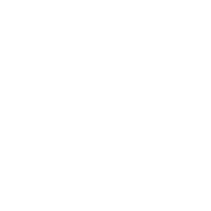 shopper_icon