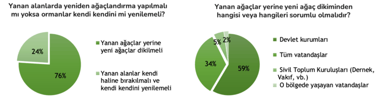 orman yangınları yeniden agaçlandırma